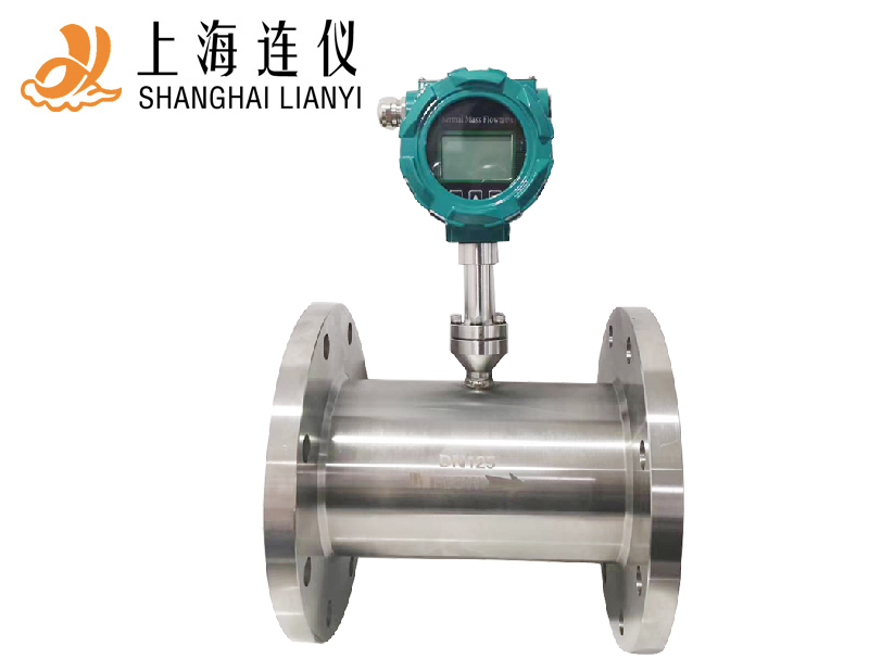 橢圓齒輪流量計(jì)