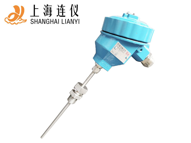 防爆鎧裝熱電阻熱電偶